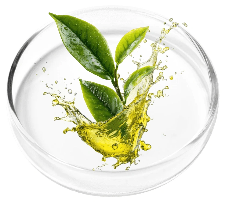 Tea Tree Oil